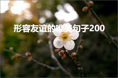 企业网站的推广方法 形容友谊的唯美句子200（文案389条）